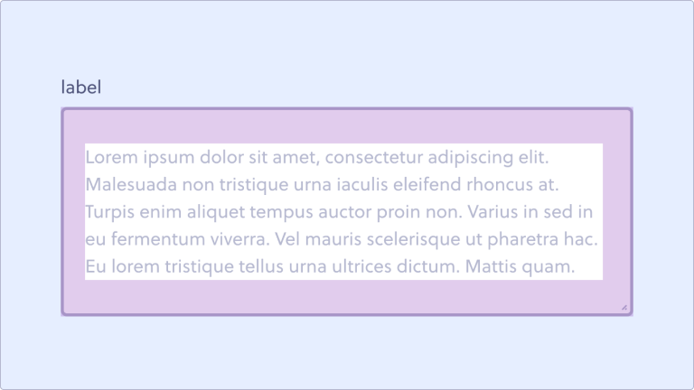 Componente de área de texto, com destaque no espaçamento interno da caixa de
texto. O espaçamento é maior nas no topo e na base e menor nas laterais.